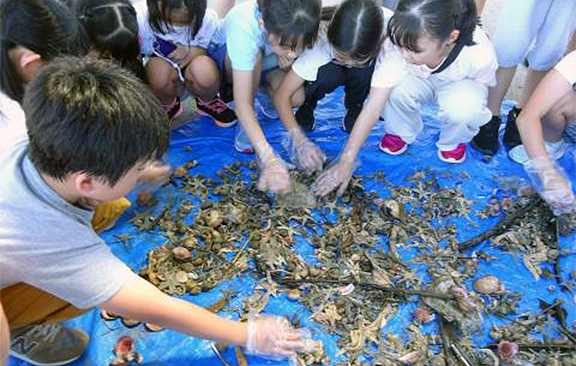 底引き網漁でとれた生き物を観察