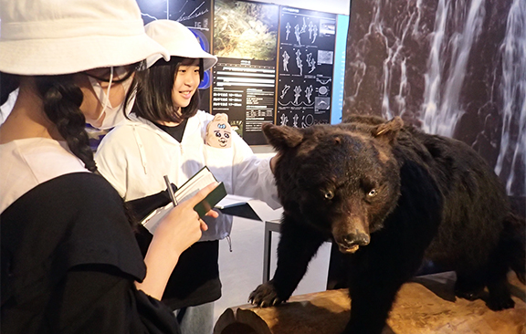 熊野はく製