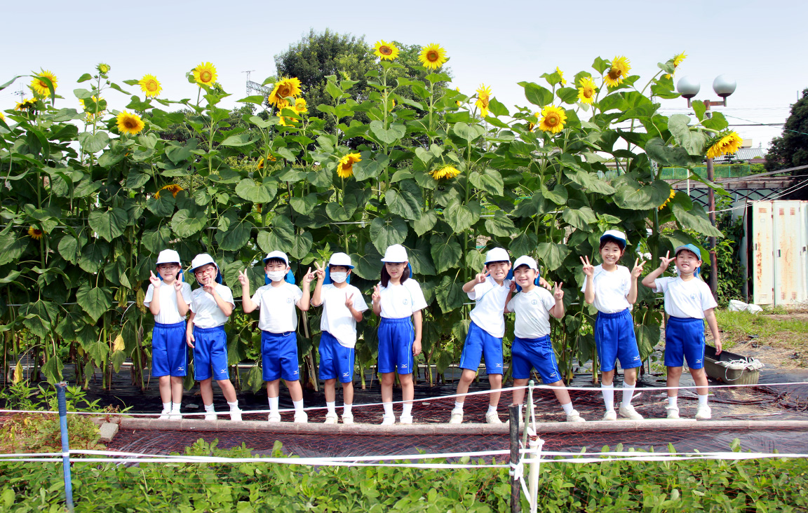 学校農園