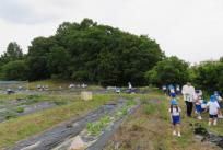 ここには大学による帝塚山ファームもあり、小学生との収穫も予定されているようです。総合学園ならではの学びがここにもあります。
